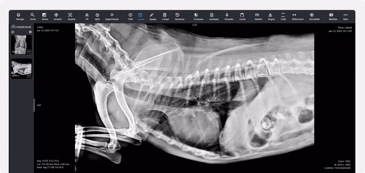 Radiografía lateral del tórax y abdomen de un perro mostrando los huesos, pulmones y órganos internos.