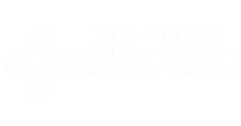 Logotipo do Centro Hospitalar São Camilo com ícone floral estilizado.