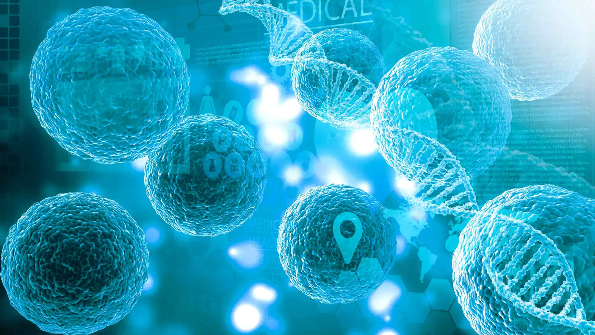 Cancer Research