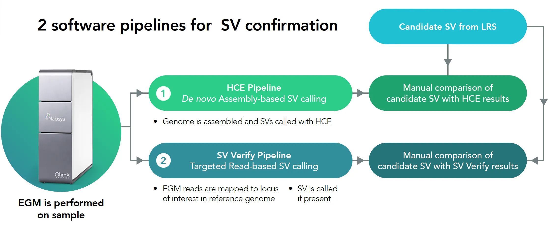 Software Pipelines for SV Confirmation