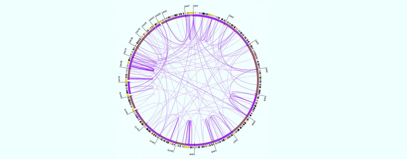 HCE’s Circos Plot