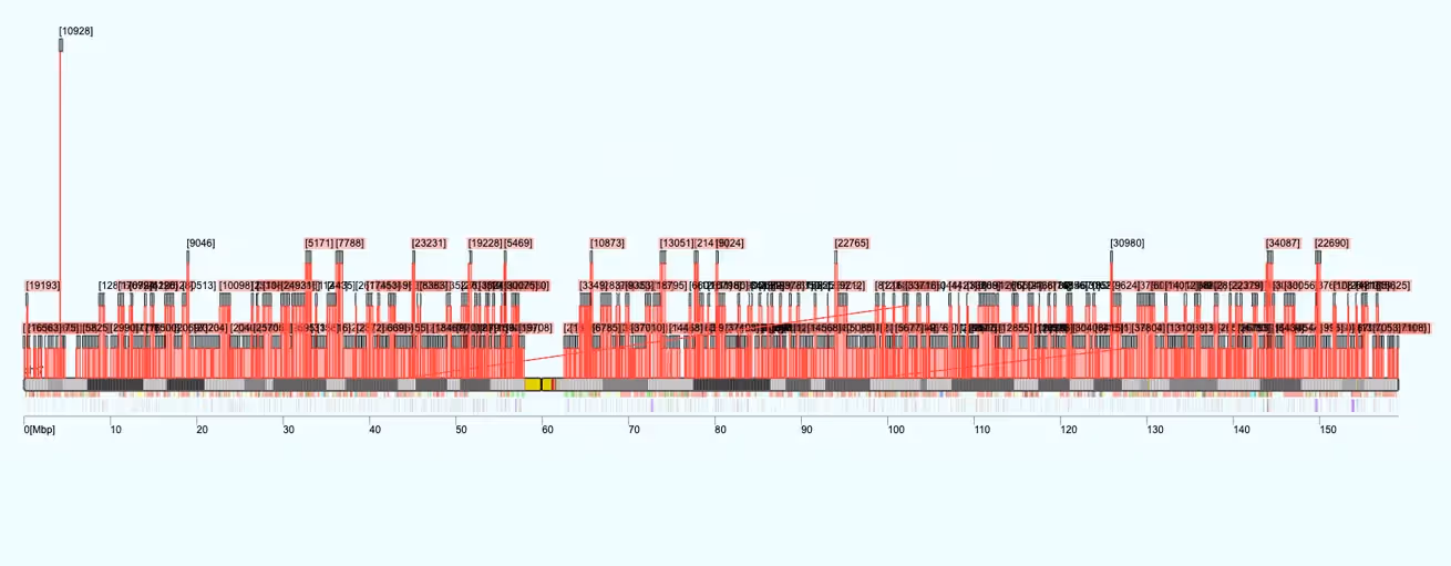 The Alignment Viewer