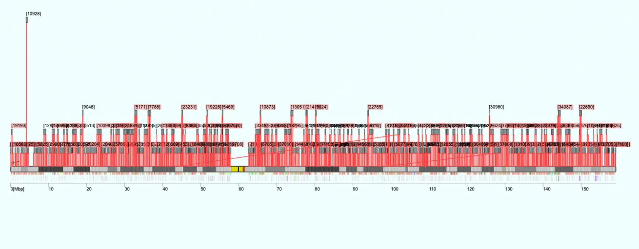 The Alignment Viewer