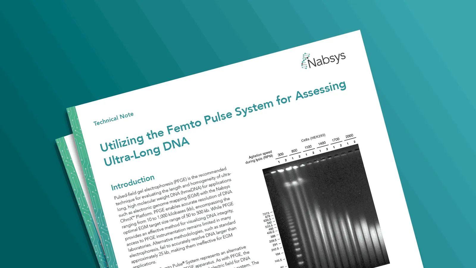 Utilizing the Femto Pulse System for Assessing Ultra-Long DNA