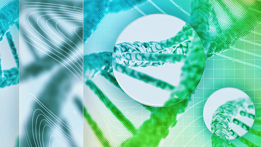 What Structural Variants May Reveal About Unsolved Rare Disease Cases