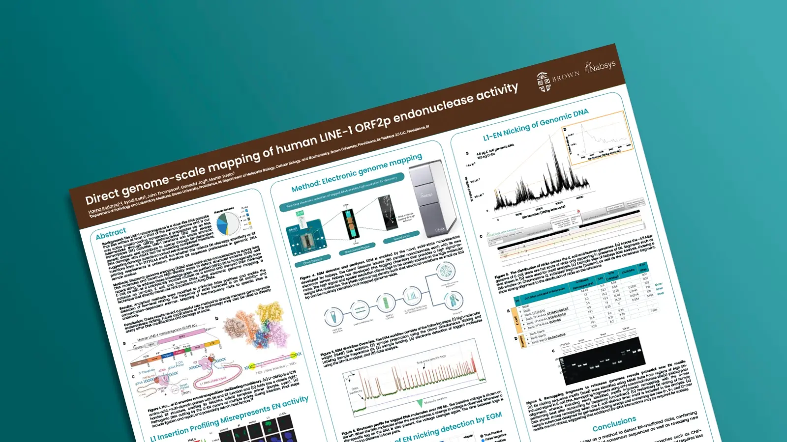 Direct Genome-Scale Mapping of Human LINE-1 ORF2p Endonuclease Activity