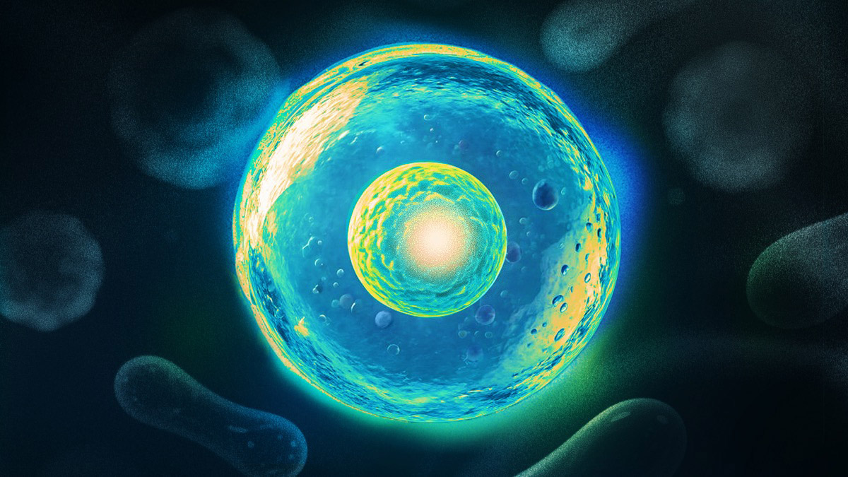 Closing the Genomic Integrity Gap in CGT Research