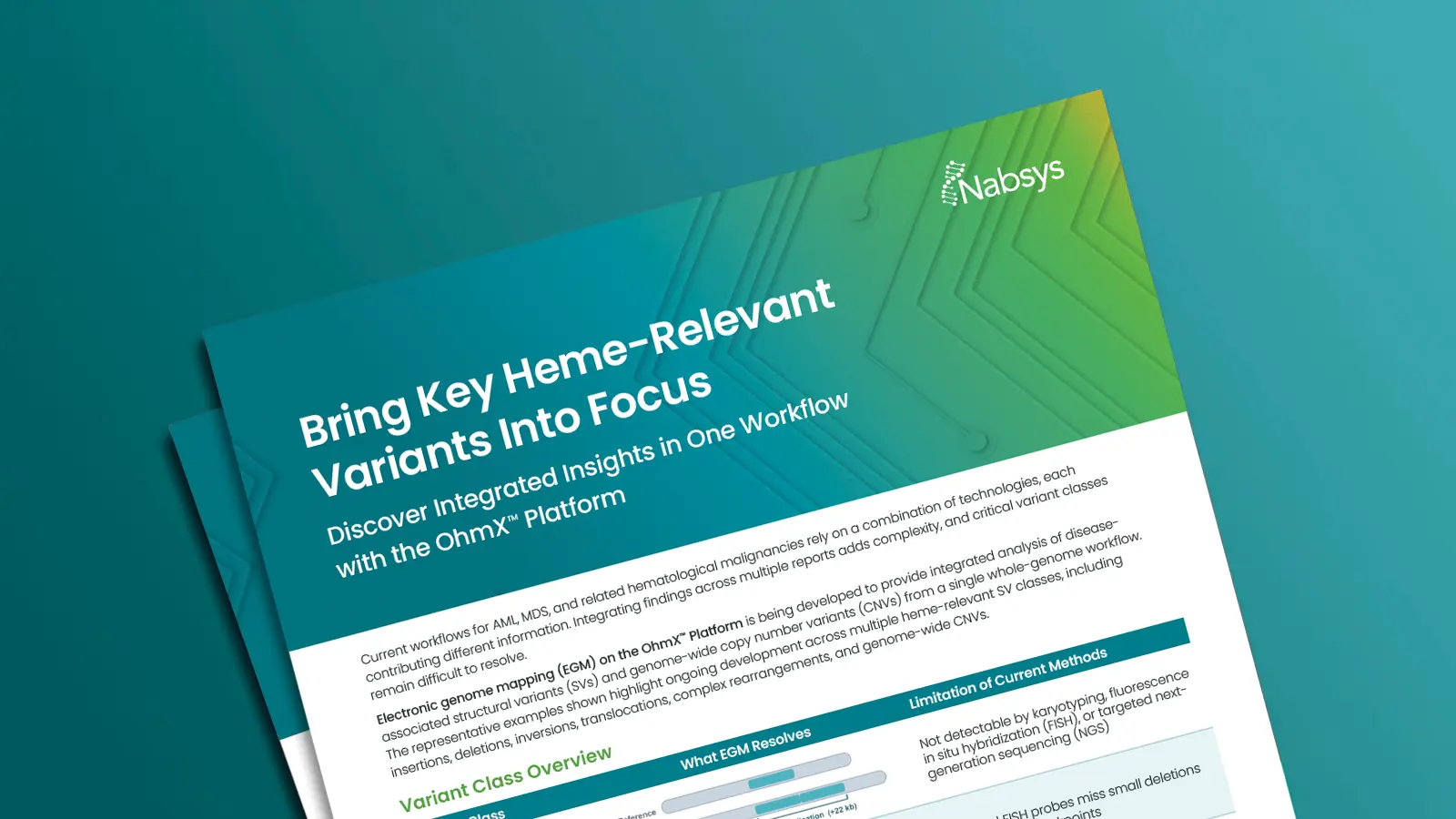 Bring Key Heme-Relevant Variants Into Focus