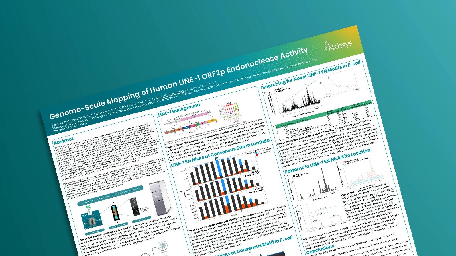 Genome-Scale Mapping of Human LINE-1 ORF2p Endonuclease Activity