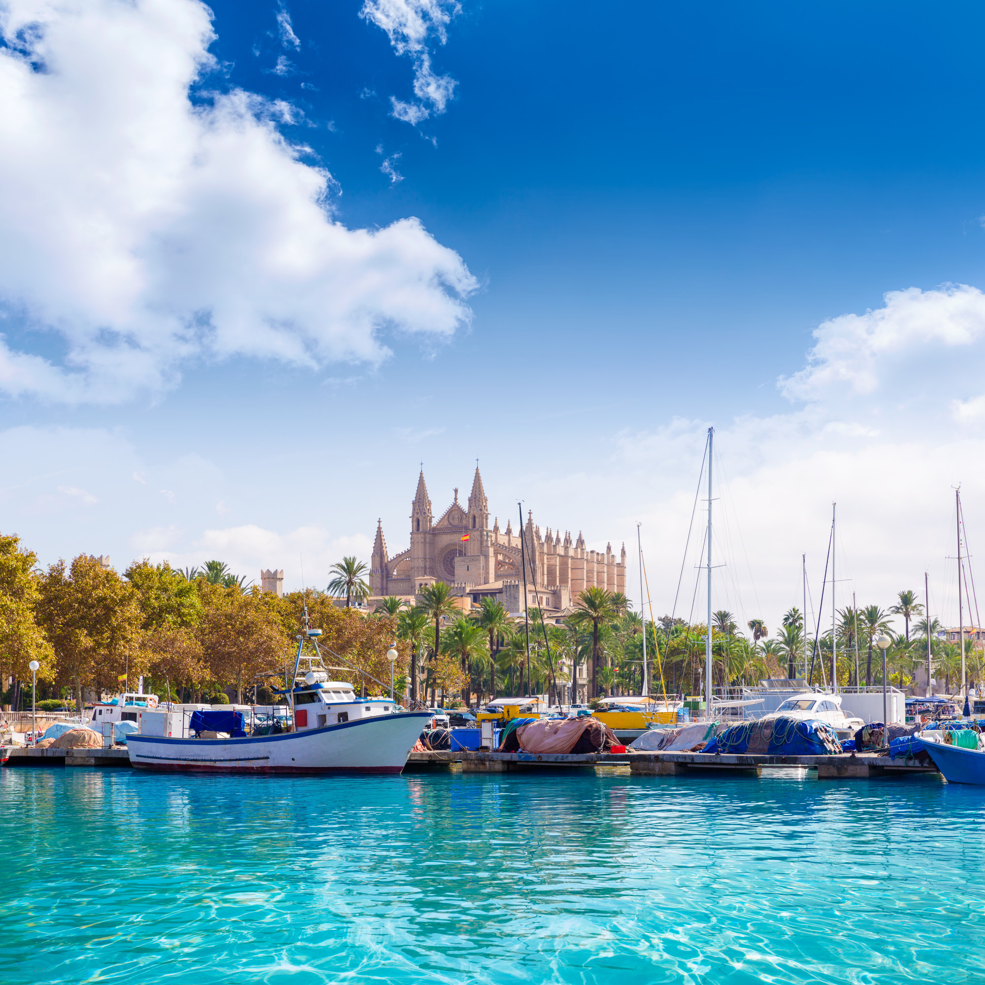 Mallorca's port de palma