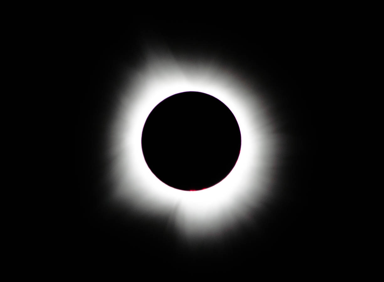 The spectacular solar eclipse captured from Dunn Meadow in Bloomington, Indiana on April 8, 2024