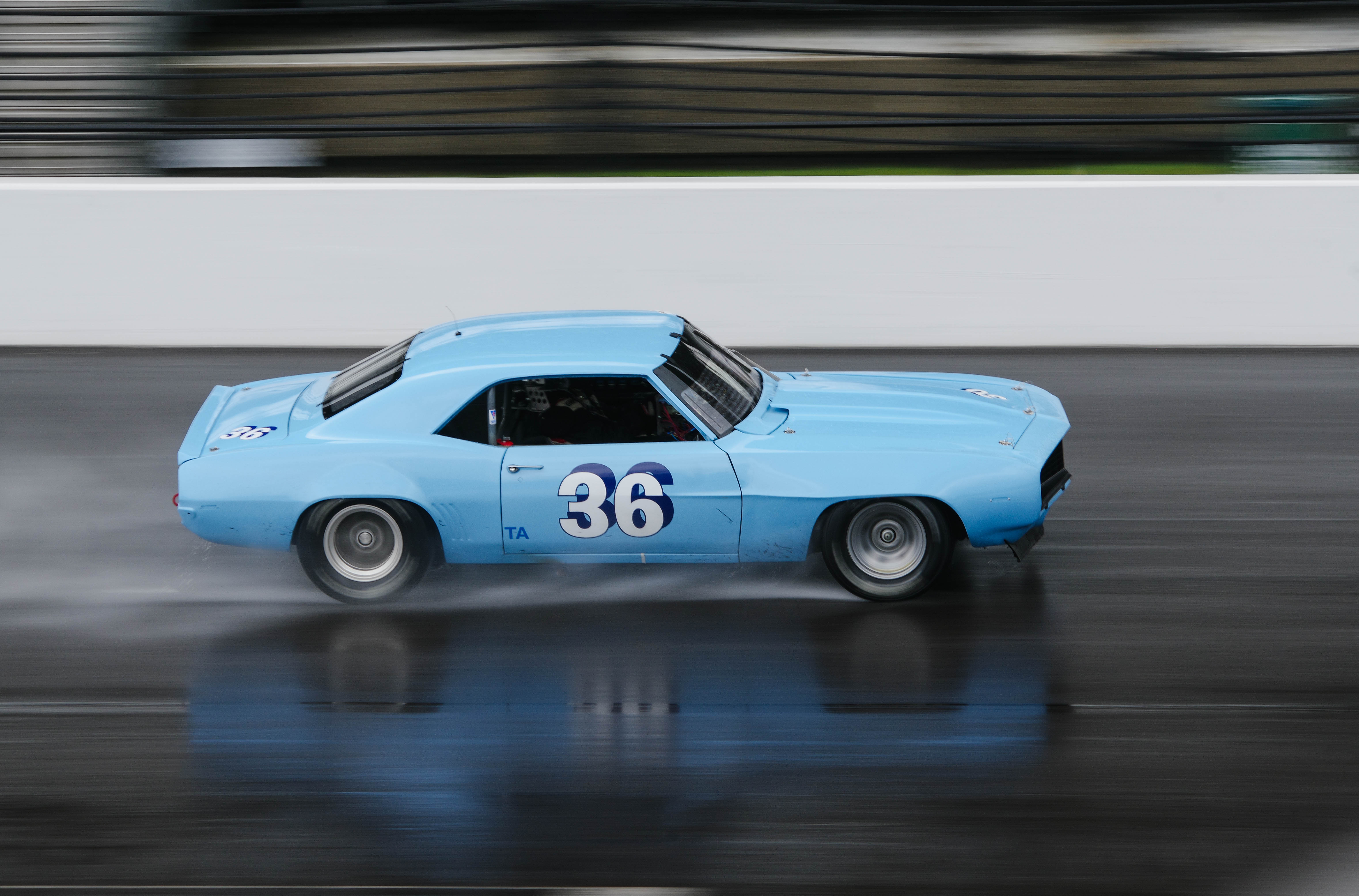 Two little pine trees photographed against a stark snowy background. Only the two pine trees are the only things in the image