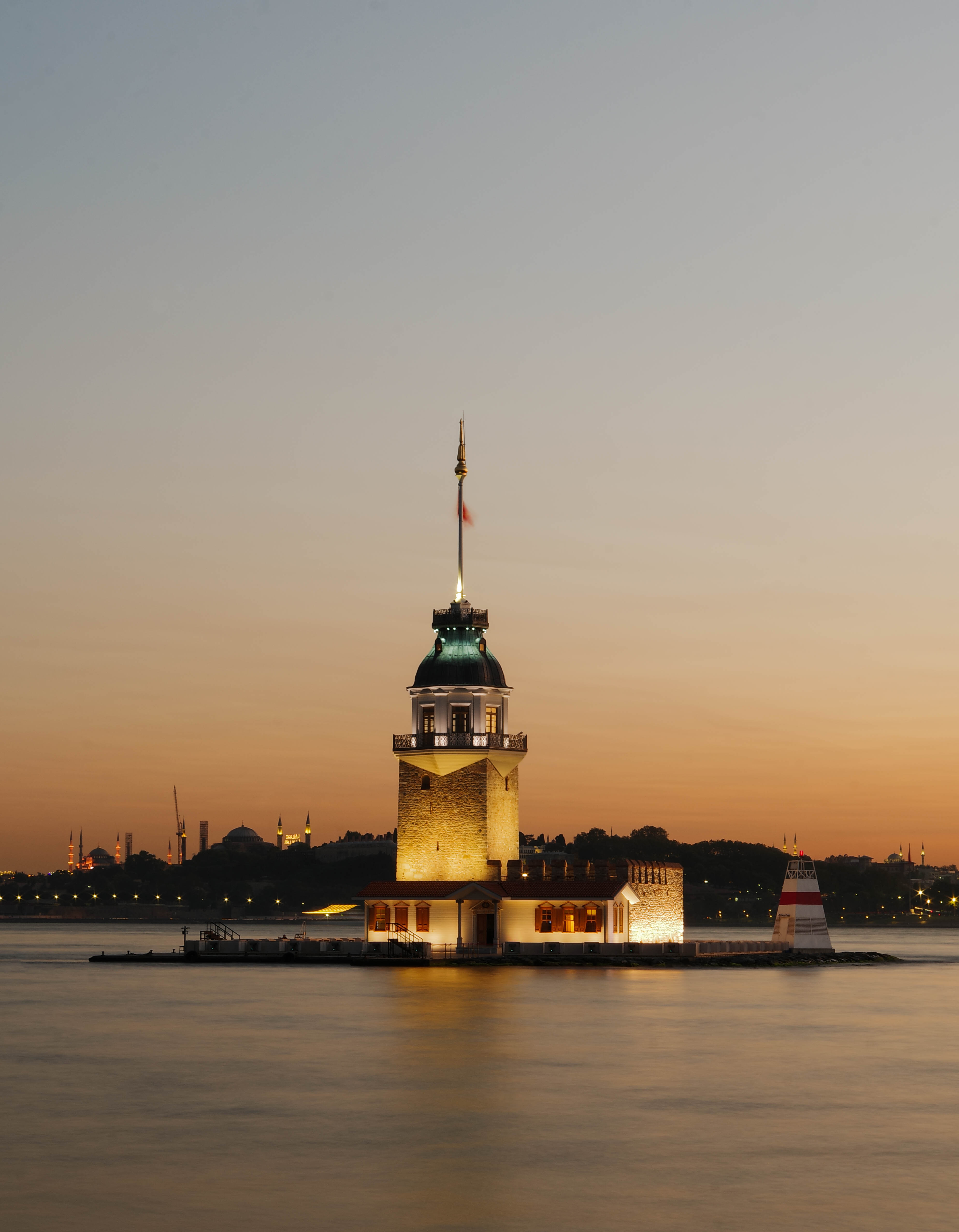A little blue bird sitting atop a branch along the west coast of California in Big Sur