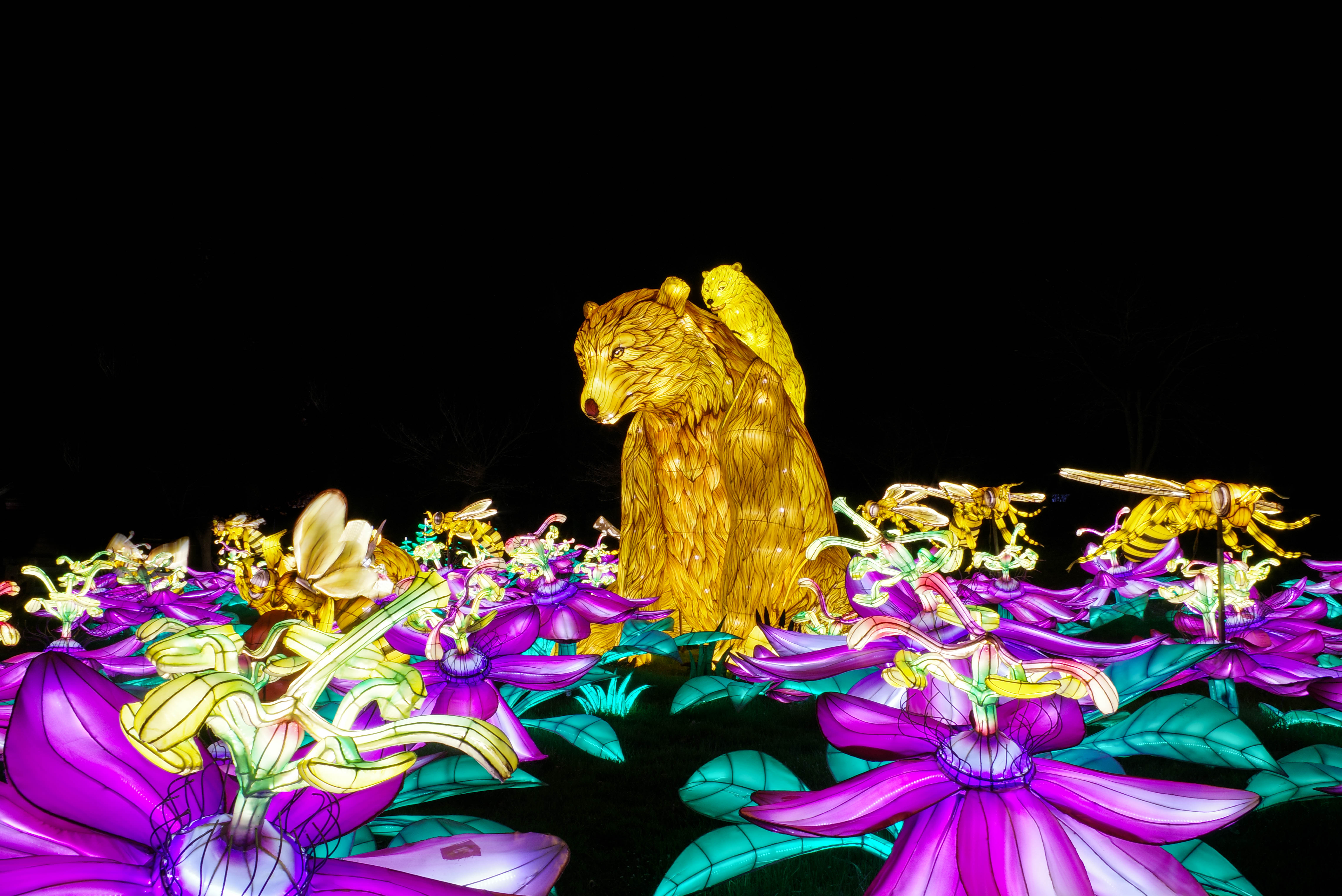 This image shows the American side of Niagara Falls at night. This image was captured from the Canadian side in Niagara Falls, Canada. This scenic location is a popular tourist attraction, especially at night because of the scenic light show that occurs every night at the falls. In this image of the falls, the waterfall is blue and orange because of lights that illuminate the falls from behind it.