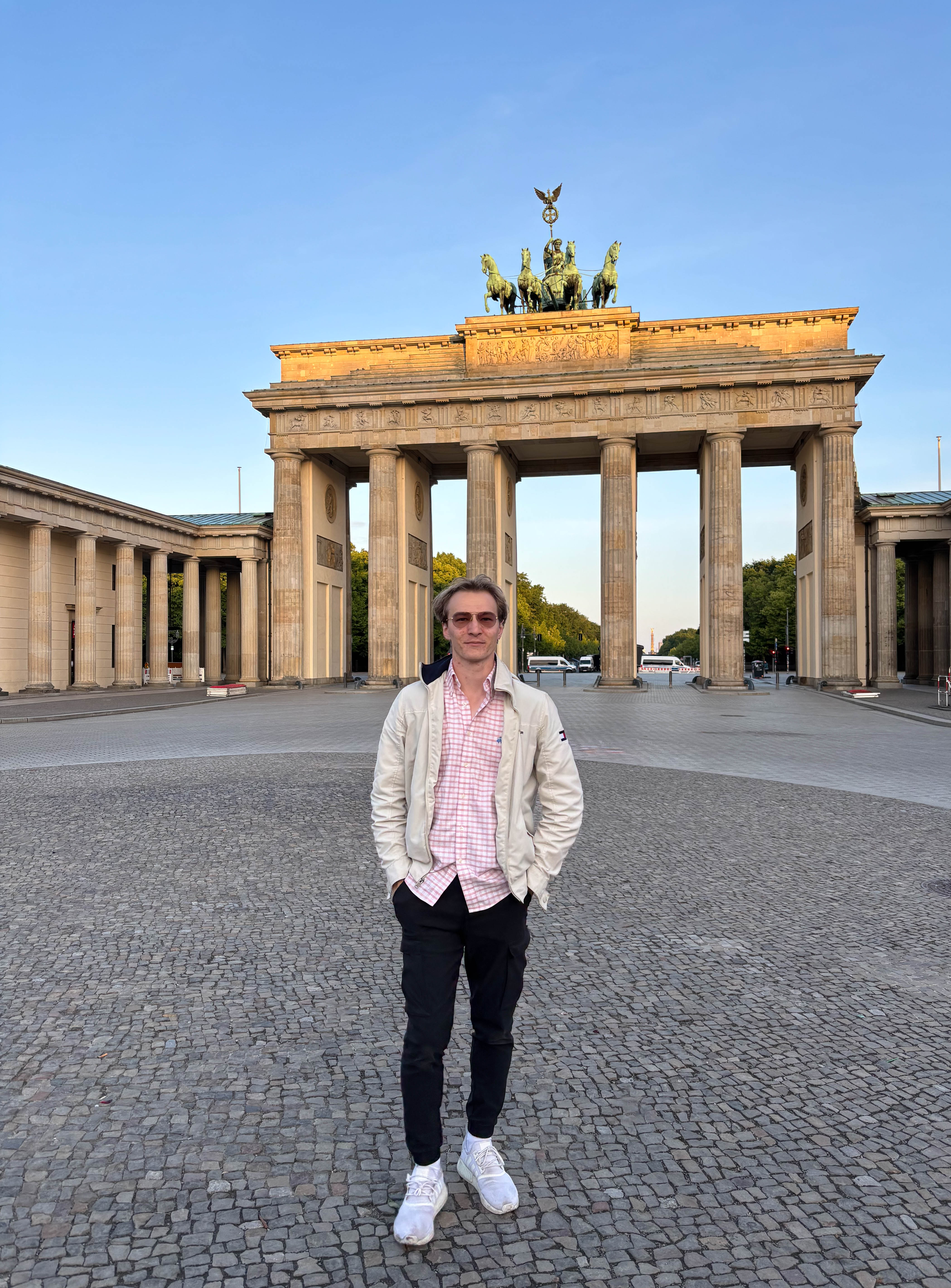 A little blue bird sitting atop a branch along the west coast of California in Big Sur
