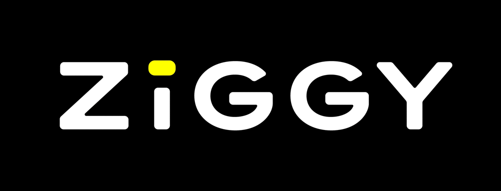 ZiGGY logo activation