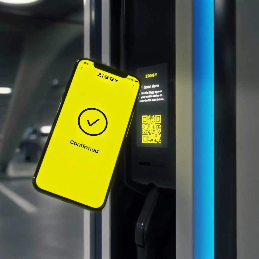 ZiGGY process, scanning.