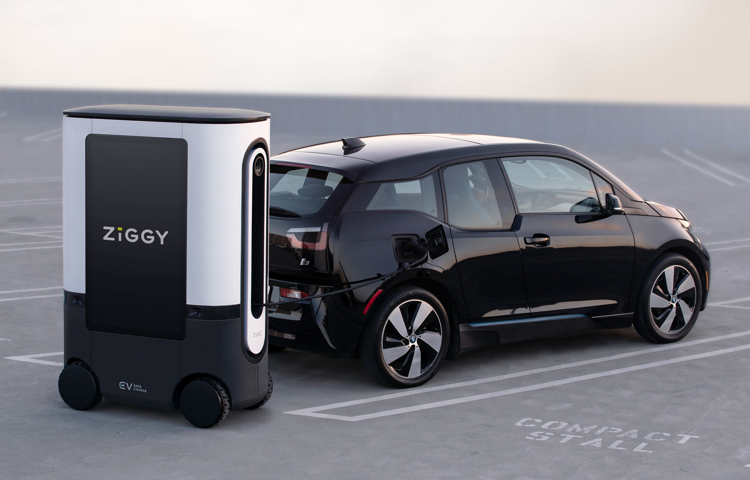 ZiGGY charging a car