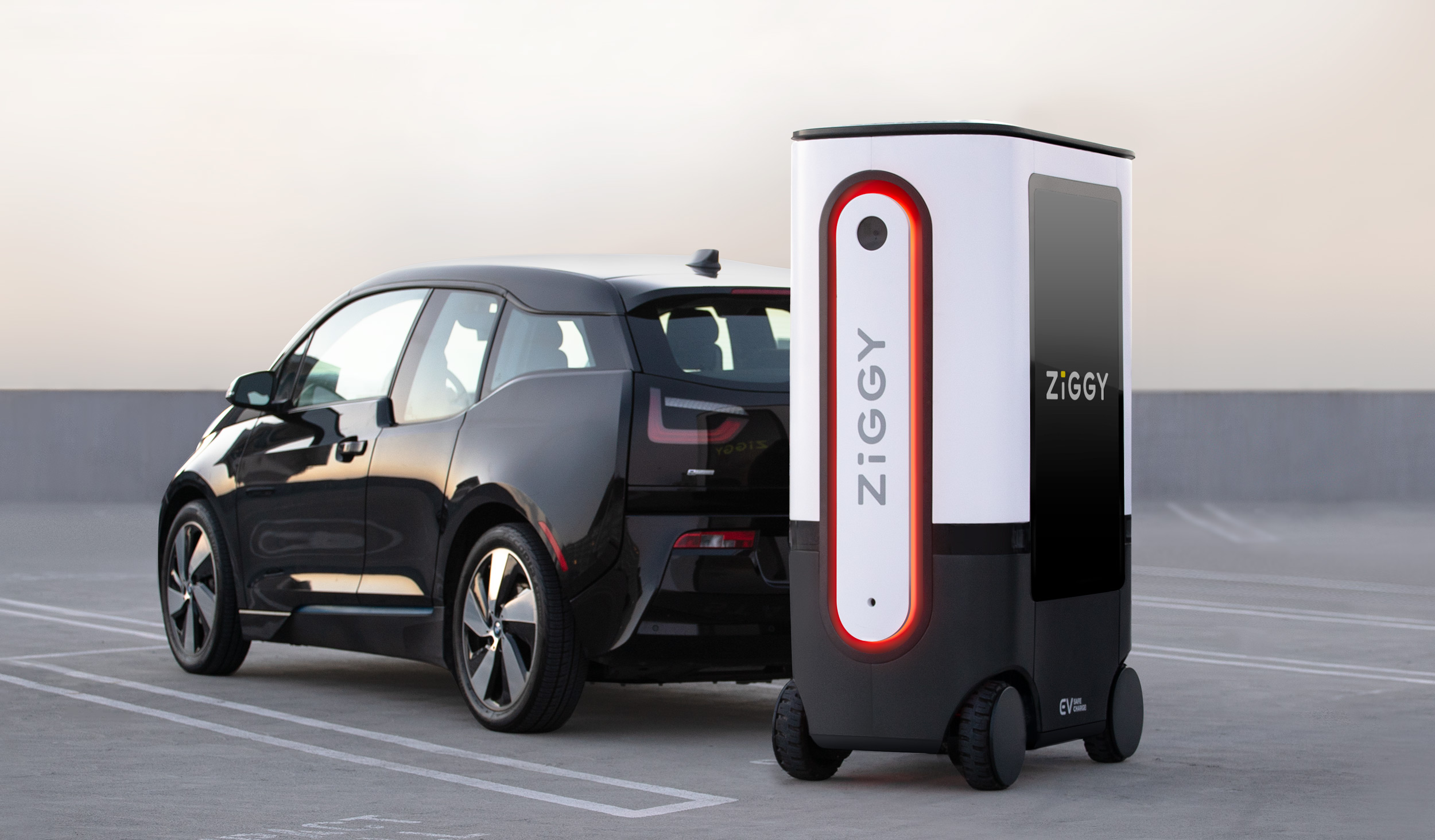 ZiGGY parked next to a car