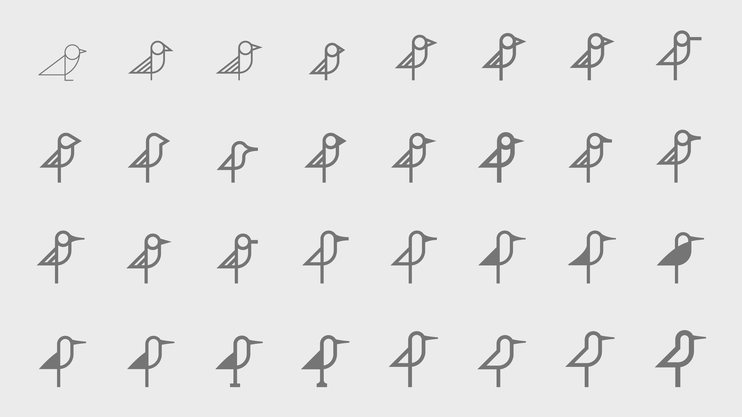 Shorebird bird evolution.