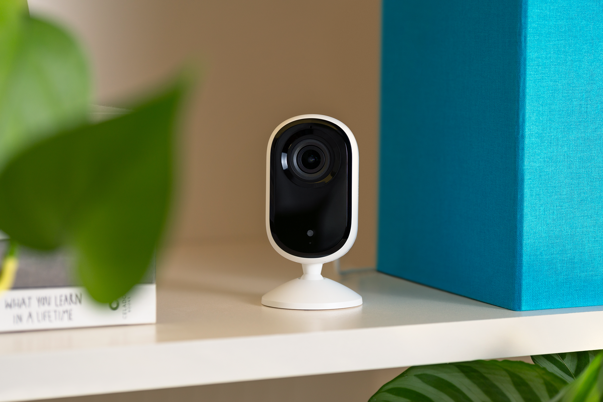 Indoor Camera from Arlo Essentials Family.