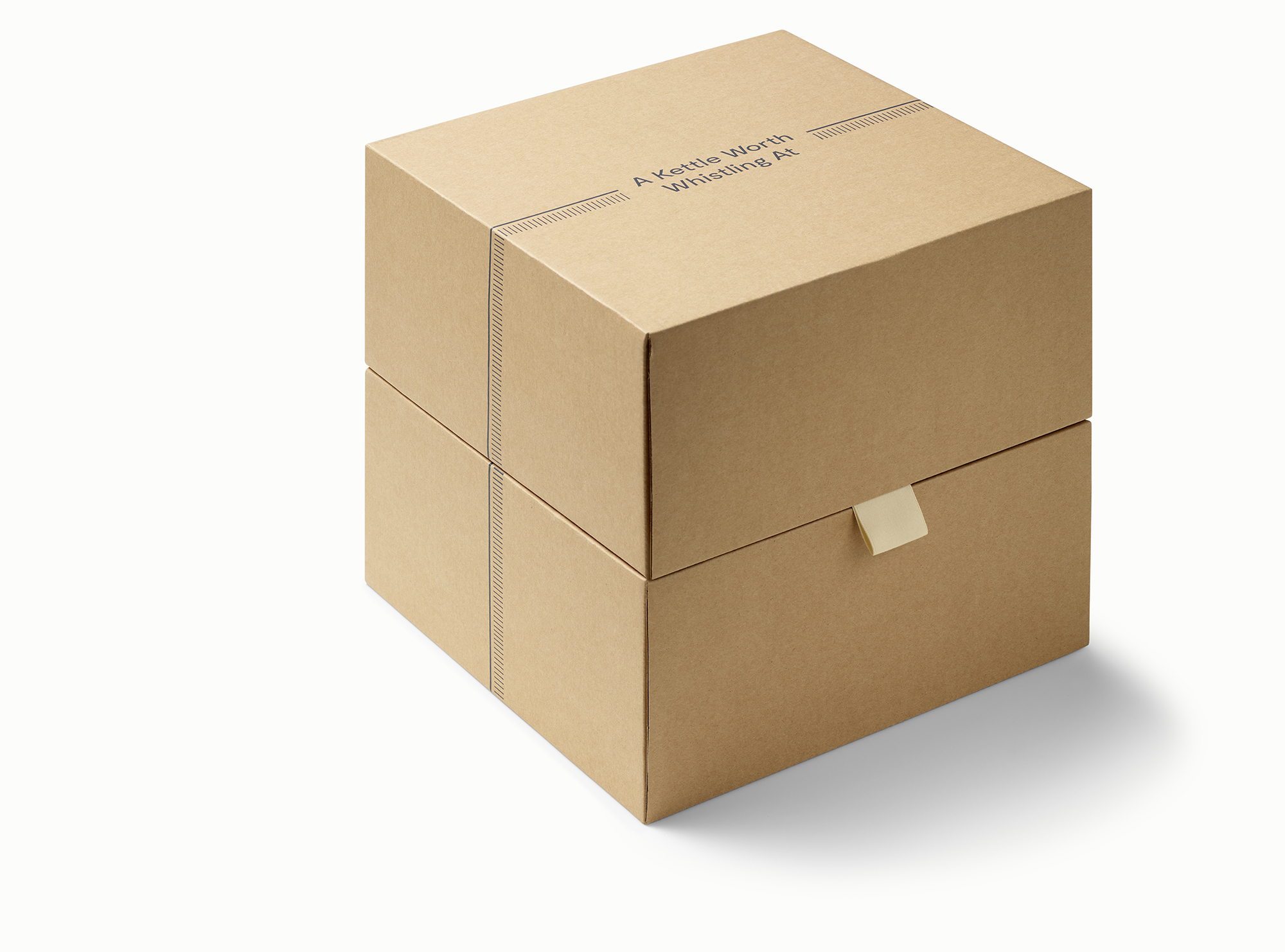 Caraway Kettle Packaging closed.