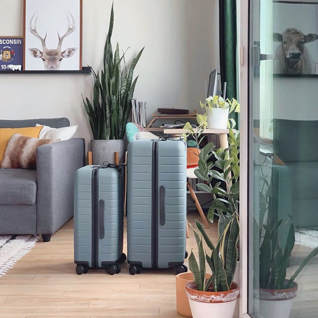 Away Luggage social media post