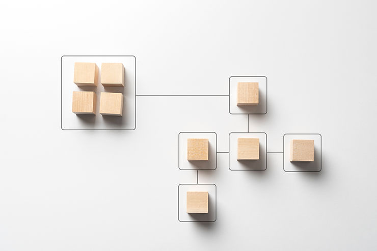 A segmented network