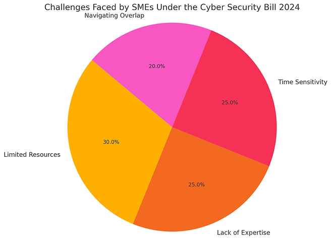 A pie chart of challenges faced by SME
