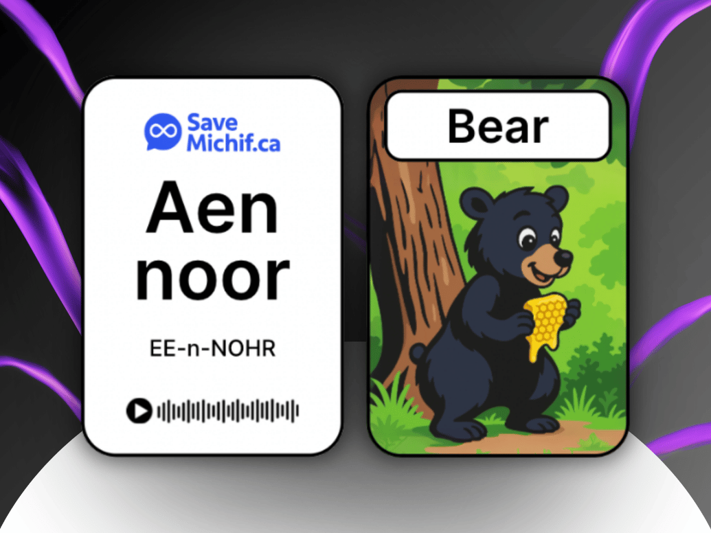 Two flashcards side by side against a dark background, one shows the SaveMichif.ca logo with the Michif word 'Aen noor' and pronunciation, the other shows a cartoon black bear holding honey with the English word 'Bear.'