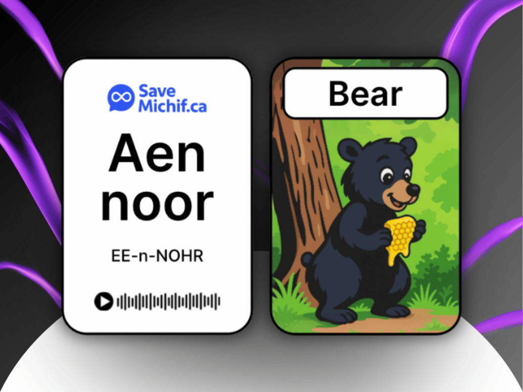Two flashcards side by side against a dark background, one shows the SaveMichif.ca logo with the Michif word 'Aen noor' and pronunciation, the other shows a cartoon black bear holding honey with the English word 'Bear.'