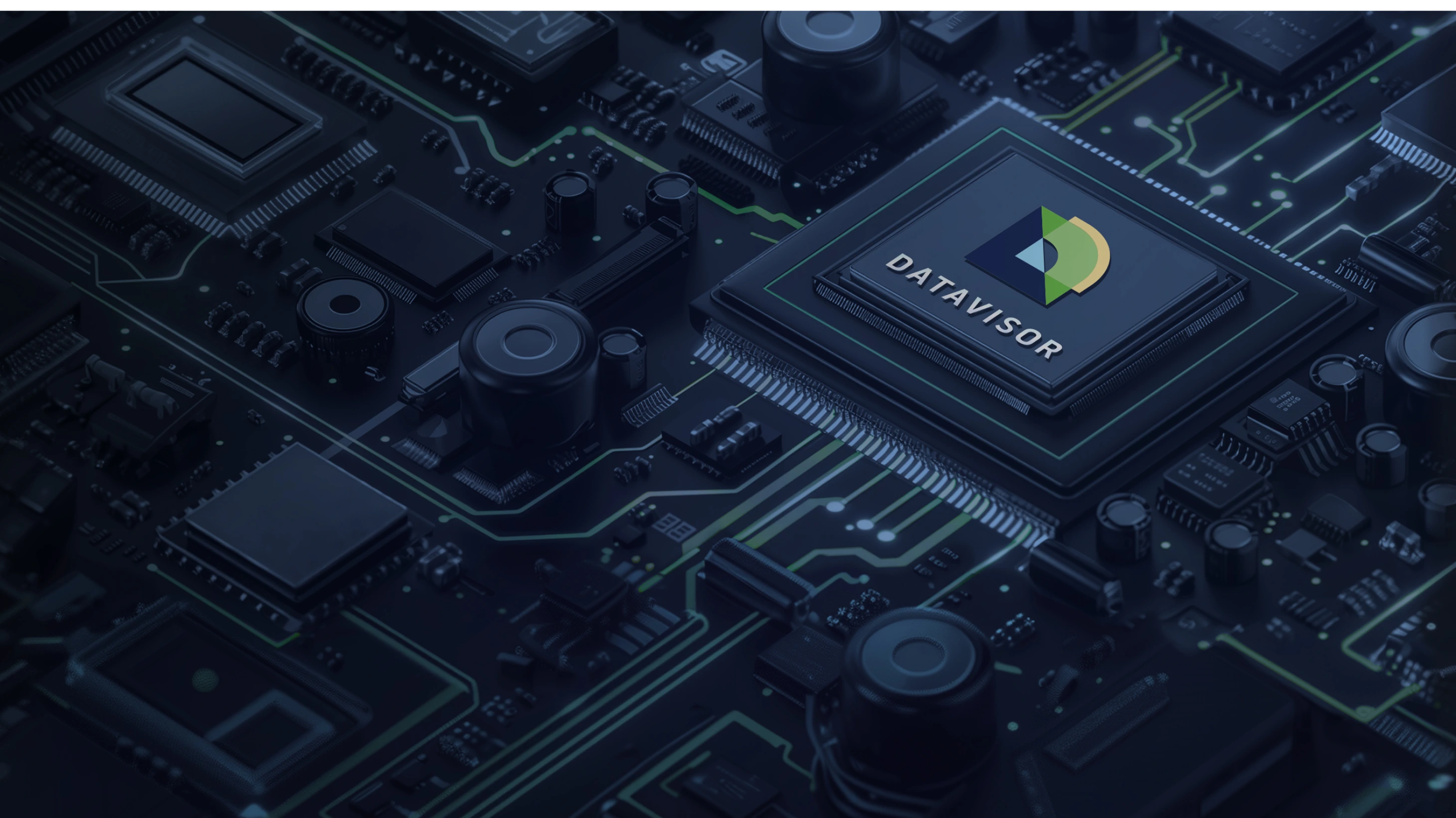 Datavisor Chip Image For desktop