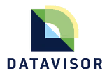 Datavisor Logo
