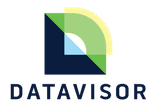 Datavisor Logo