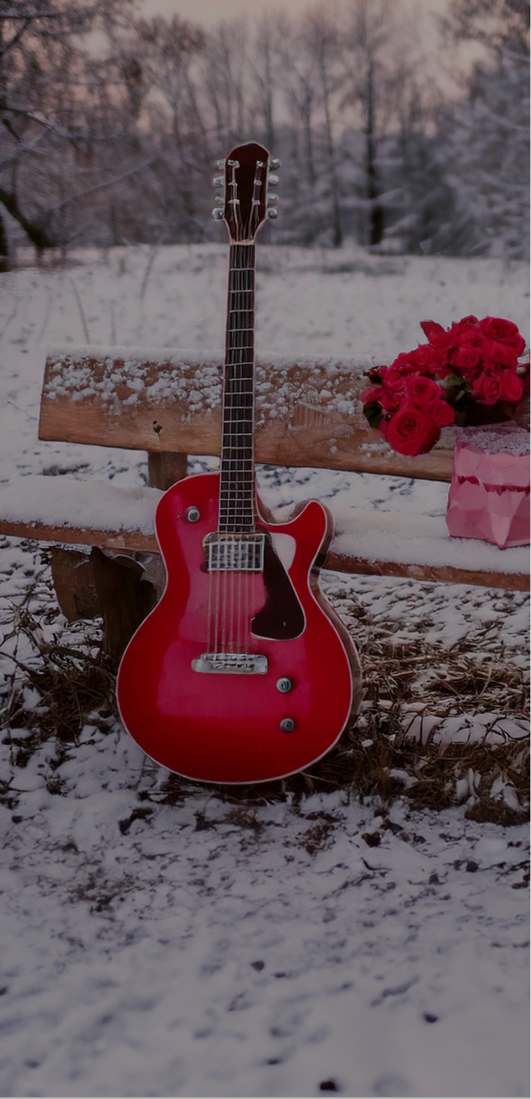 Concerts de l'École de Musique et Harmonie Décinoises prévu au mois de Février.