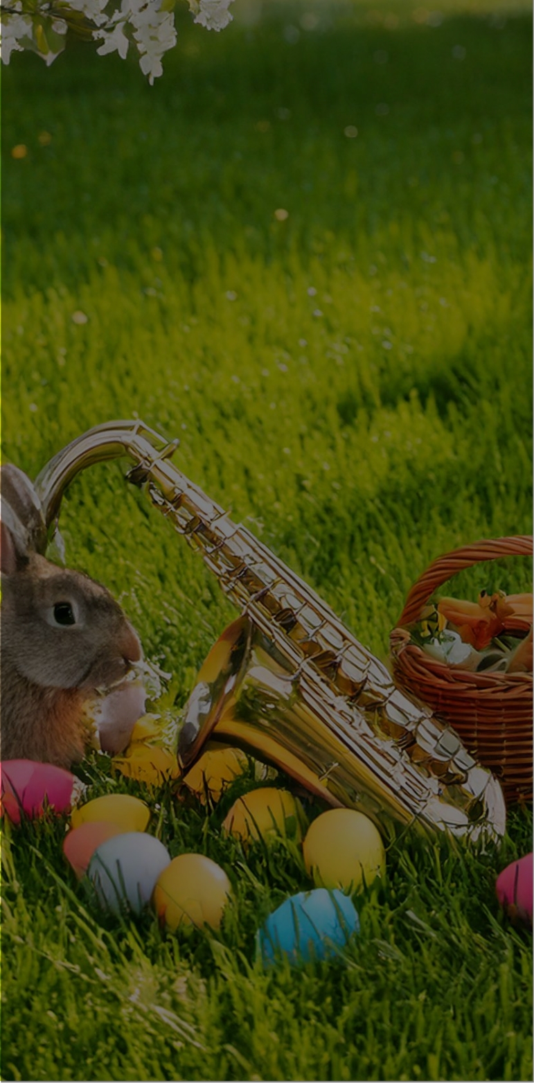 Concerts de l'École de Musique et Harmonie Décinoises prévu au mois de Avril.