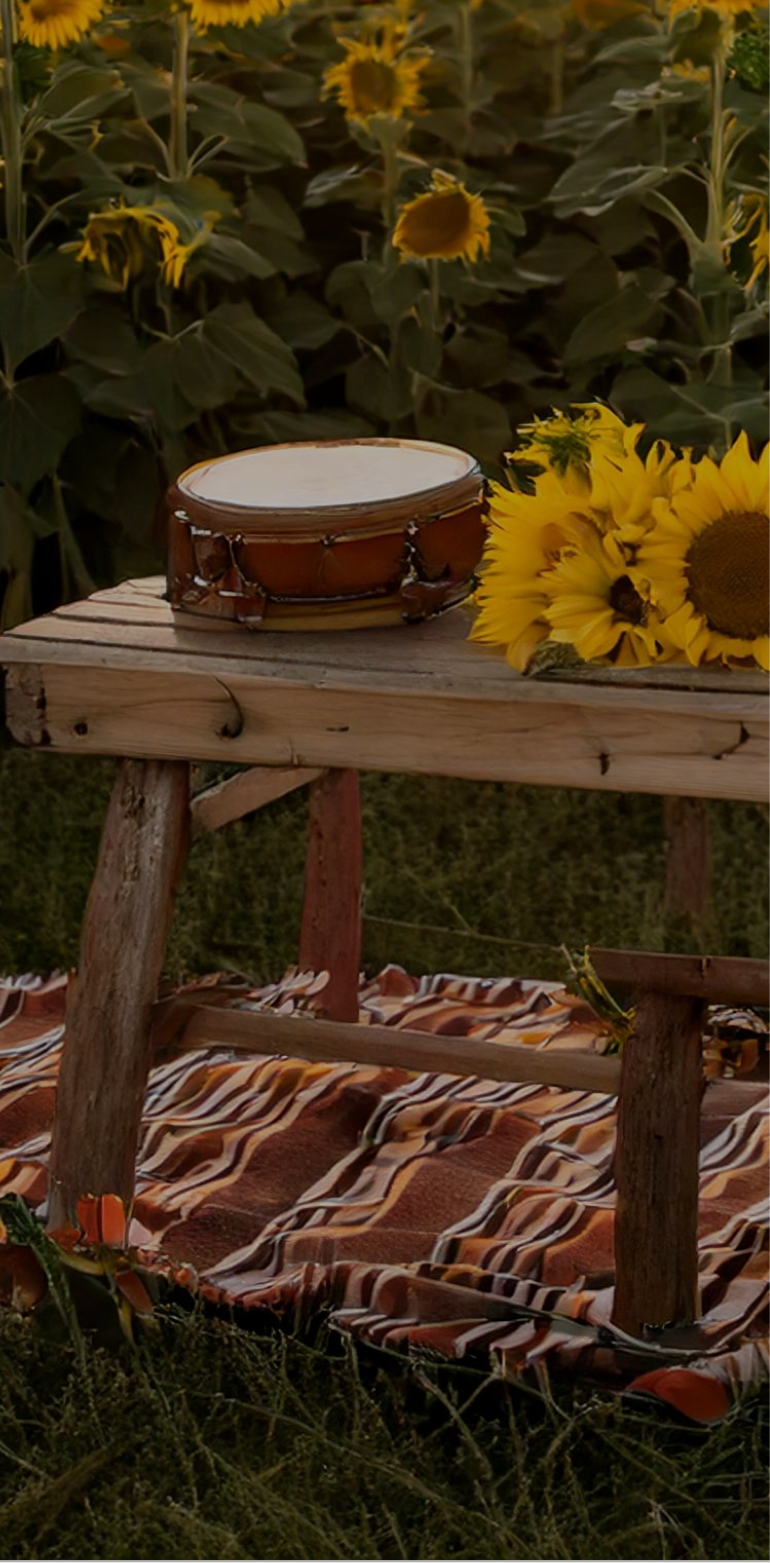 Concerts de l'École de Musique et Harmonie Décinoises prévu au mois de Aout.