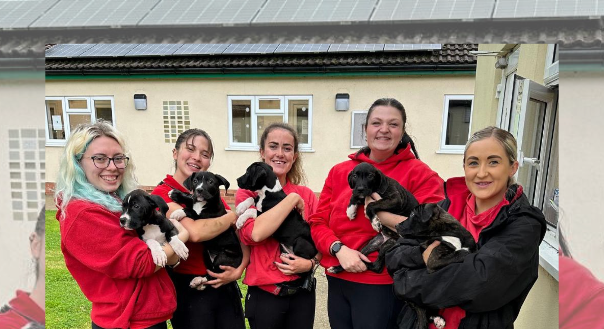 Holly Hedge Animal Sanctuary