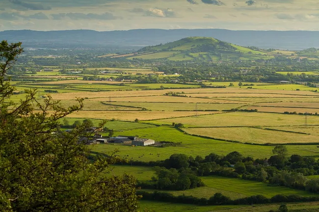 The Mendip Society