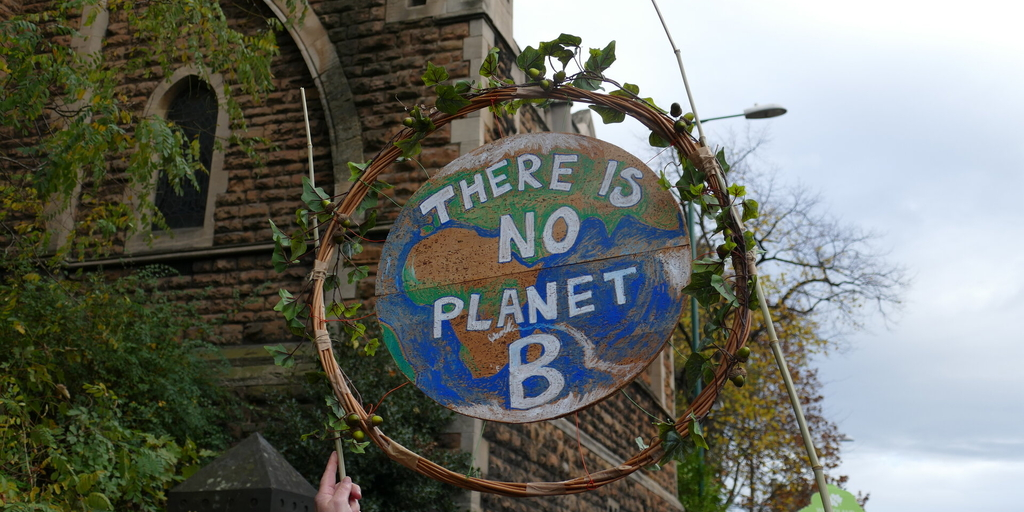 Somerset Wildlife Trust