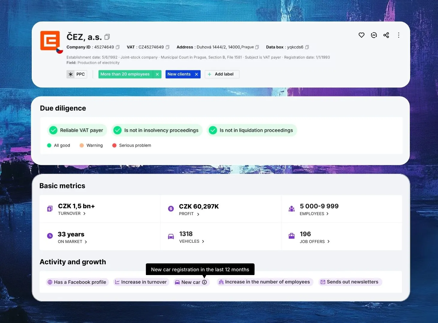 Dashboard from Saleskit showing company development over time in Czechia and Slovakia, highlighting growth trends and financial status.