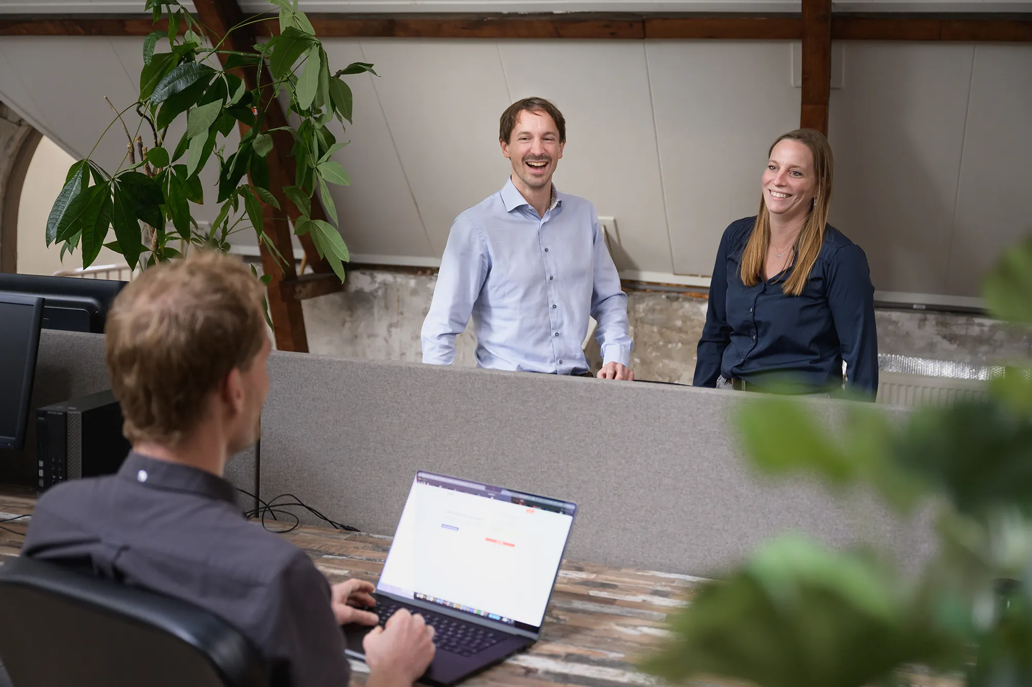 software implementatie consultant