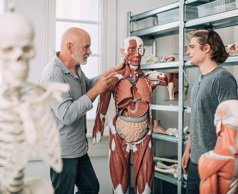 Physician Assistant ohne Vorausbildung studieren: Theorie und Praxis verbinden an der CBS