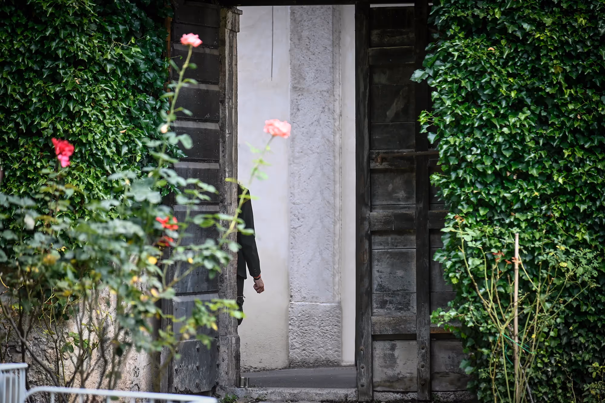 Angolo suggestivo al Festival di Spoleto, fiori rosa tra le vecchie imposte