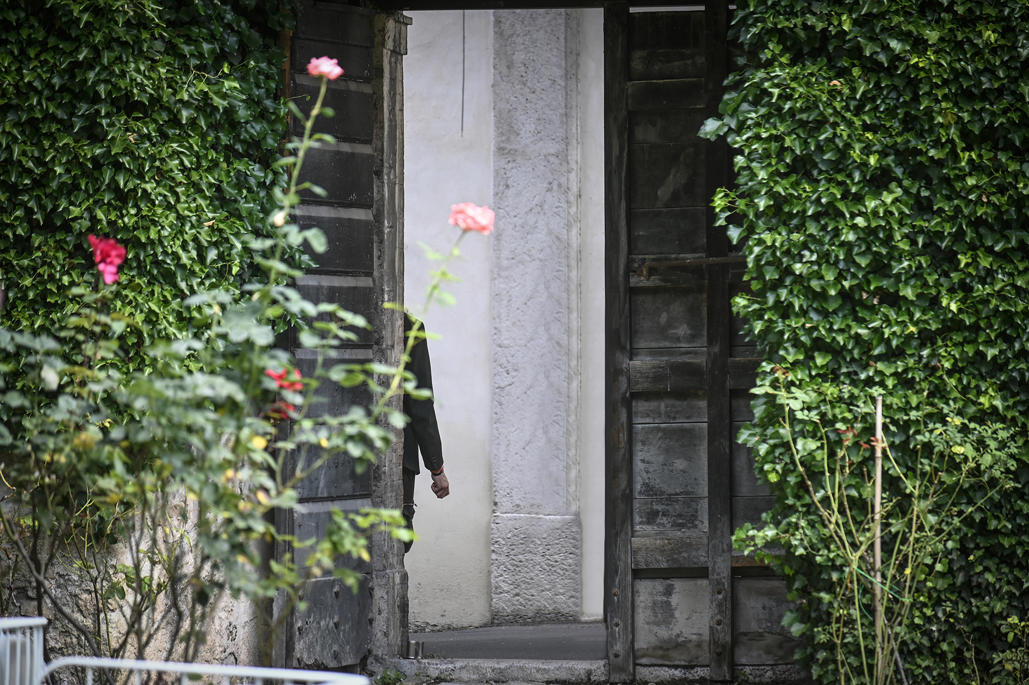 Dettaglio suggestivo al Festival di Spoleto, fiori tra porte e vegetazione