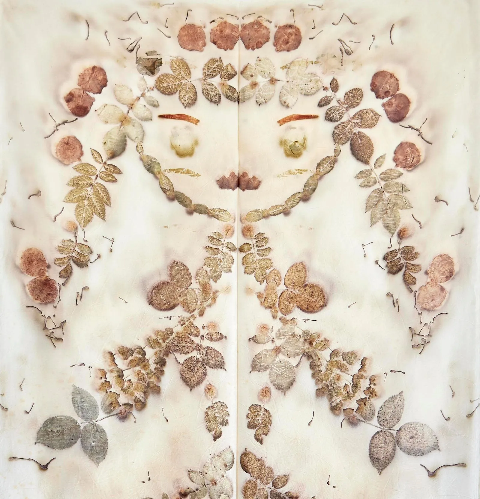 Installazione artistica botanica al Festival di Spoleto, natura simmetrica