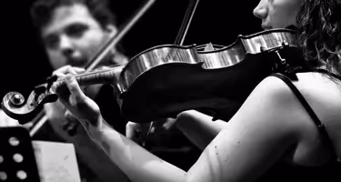 Musicisti al Festival di Spoleto suonano violini in bianco e nero
