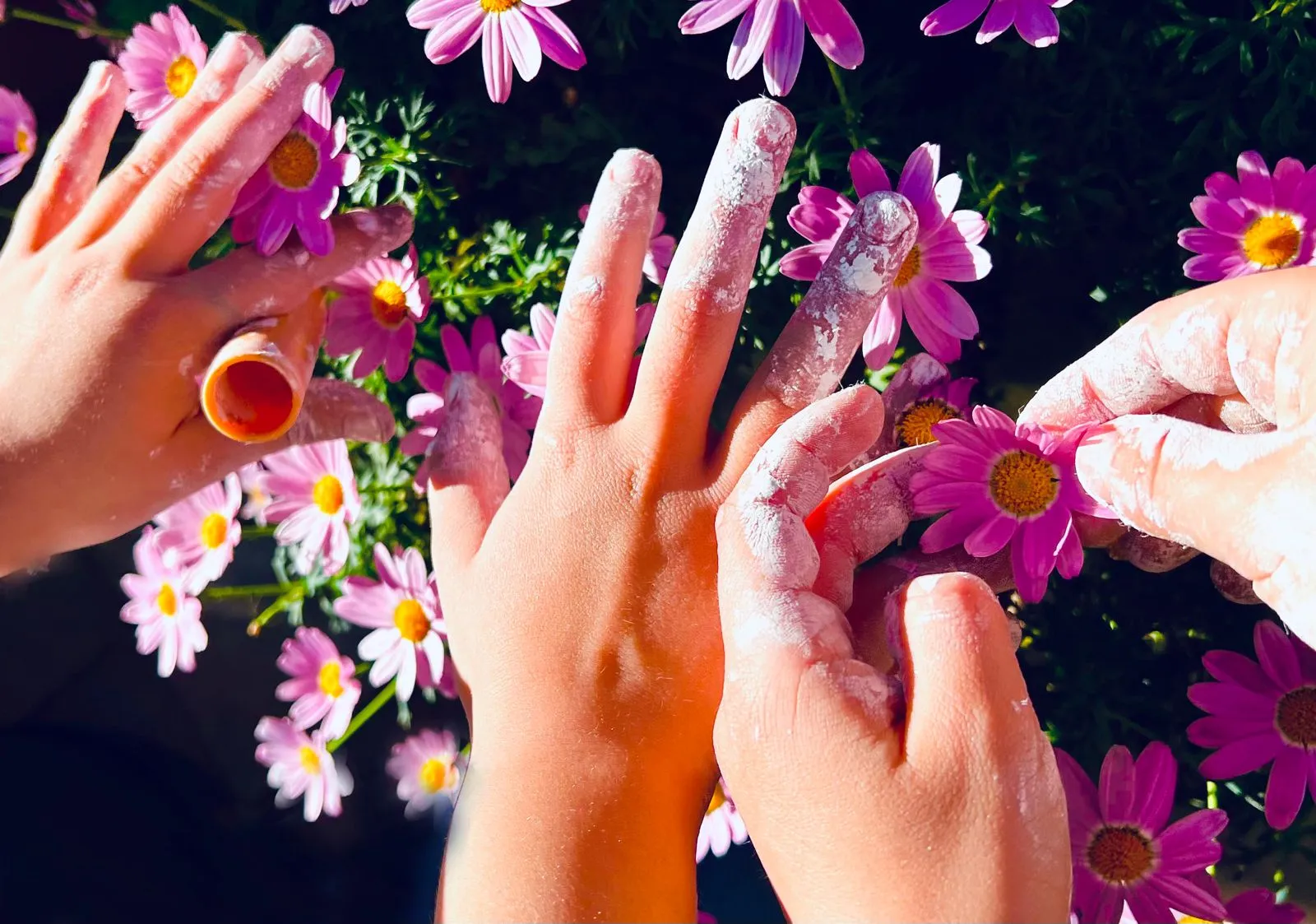 Festival di Spoleto hands covered in powder amid vibrant pink flowers