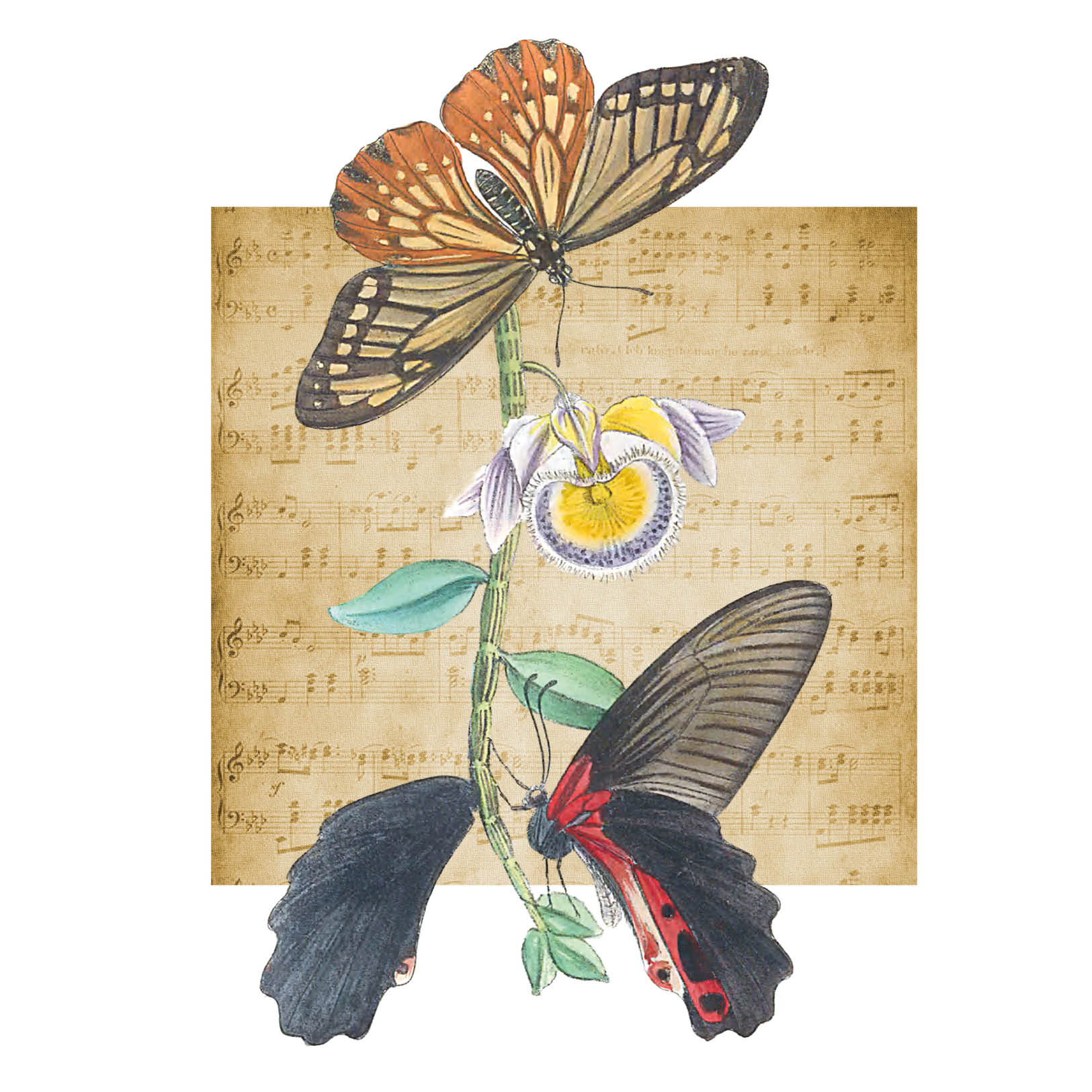 Butterflies on musical score celebrating Festival di Spoleto art and nature