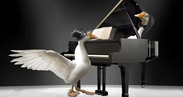 Ducks performing at Festival di Spoleto, one playing grand piano dramatically